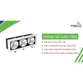 ĐÈN LED SPOTLIGHT HỘP 30W (GL -3*10-T/V/TT)