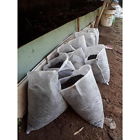 Mua 3kg sinh khối trùn quế tại tp HCM.