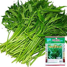 Mua Hạt rau muống gói 100 gram Phú Nông trồng quanh năm tỷ lệ nẩy mầm cao