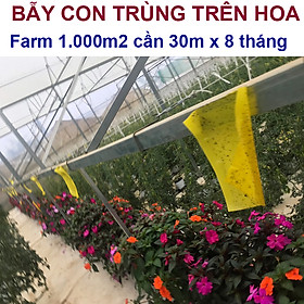 Set 10 Mét Bẫy ruồi đục trái và bẫy côn trùng bay khác bằng Keo Vàng Sinh học Nông Nghiệp nhập khẩu Israel (Sticky Yellow Roll) 2 mặt keo dính chịu mưa nắng và nước tưới