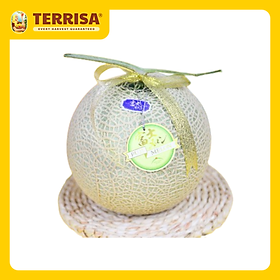 Chỉ Giao HCM Dưa lưới giống Nhật Bản Melon Fuji