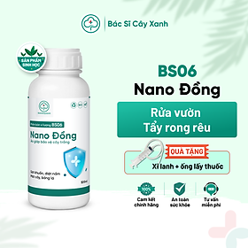 Mua Phân bón vi lượng BS06 Nano Đồng Rửa vườn  tẩy rong rêu  nấm móc  phòng ngừa bệnh cây trồng 250/500ml NSX Bacsicayxanh