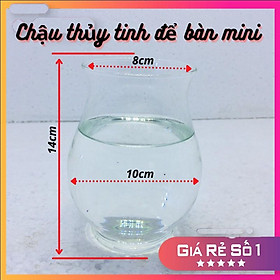 Mua Chậu thủy tinh để bàn mini