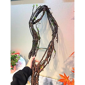 Mua Thân cây giả trang trí - Dài từ 150 đến 180 cm - Nhiều mẫu - Thân cây leo tường - Cây giả  hoa lụa decor giống thật 99% - Làm khung cho dây leo hoa hồng ban công rất đẹp