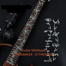 Miếng dán hoa văn cho cần đàn guitar