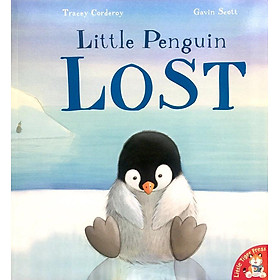 Little Penguin Lost