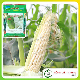 Hạt Giống Bắp Nếp Nù Siêu Sẻo Cao Sản Phú Nông - Gói 100g - Hạt to đều, Năng suất cao, Sinh trưởng mạnh, Kháng bệnh tốt VTNN Nông Điền Trang