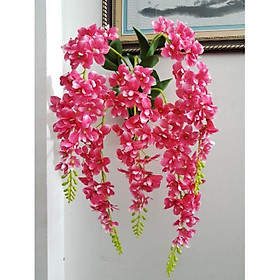 Mua Giỏ hoa lan treo tường