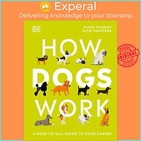 Sách - How Dogs Work : A Head-to-Tail Guide to Your Canine by Daniel Tatarsky (UK edition, hardcover)