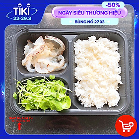 Mua Hộp Đựng Cơm HỮU PHONG Kèm Nắp Cao Cấp Dùng 1 Lần  An Toàn  Bền Chắc Cứng Cáp- CHÍNH HÃNG( Tặng móc khóa KETILO