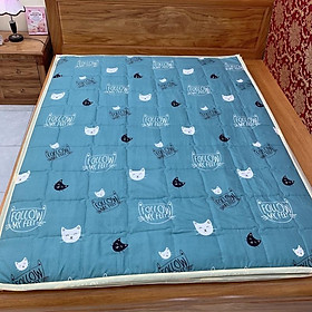 Mua Tấm trải đệm đa năng siêu mỏng gọn nhẹ ( nệm trải sàn  tấm trải đệm  chiếu