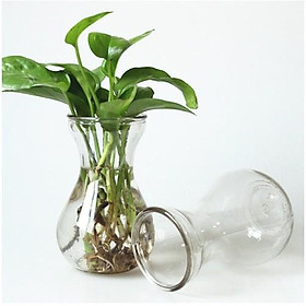 Mua Lọ cắm hoa thủy tinh trang trí để bàn miệng loe 14 cm rất đẹp ạ