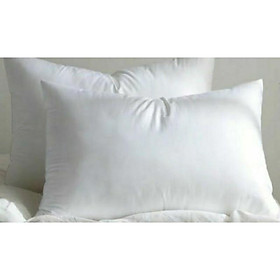 Mua Ruột gối hơi nằm 40x60cm