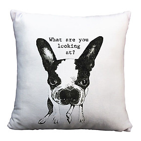Gối Ôm Vuông What Are You Looking At? GVFU311 (36 x 36 cm)