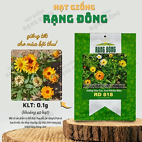 Hạt giống Hoa Cúc Susi Nhiều Màu Rd 818 (0,1g~40 hạt) dễ chăm, hoa nở rực rỡ, trồng quanh năm - Hạt giống Rạng Đông