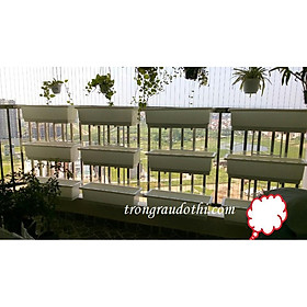 Mua Giá móc treo 3 tầng trồng cây ban công bằng inox (chưa bao gồm chậu