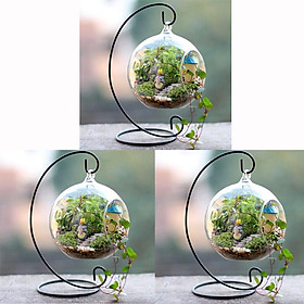 3 Set Hanging Glass Flower Vase Bottle Hydroponic Terrarium Container Stand