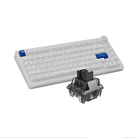 Mua Bàn phím AKKO PC75B Plus Blue on White  Hàng chính hãng