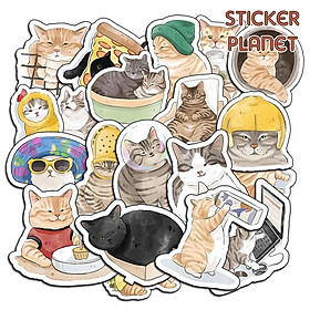 Sticker hình dán mèo meme hài hước vui nhộn dễ thương boss và sen pastel trang trí mũ bảo hiểm Laptop journal sổ tay