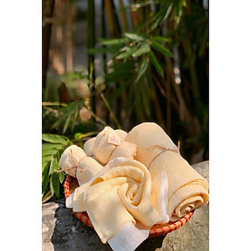 Mua Khăn Mặt Tơ Tằm Tự Nhiên Việt Nam (Nhỏ)