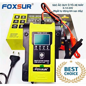 SIÊU SẠC BÌNH ẮC QUY FOXSUR SẠC PIN LITHIUM PIN SẮT ĐIỆN TỬ CÓ NHIỀU CHỨC NĂNG SẠC CAO CẤP 