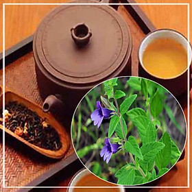 Mua Cây Nhân Trần Nam khô 500gram