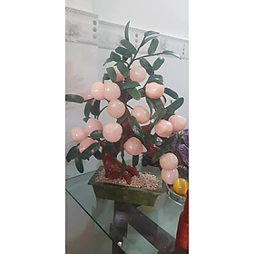 Mua Cây đào đá thạch anh hồng tự nhiên 18 quả to đẹp lắm ạ   Kích thước cao 55cm x ngang 42cm x sâu 20cm  Anh Chị trưng phòng khách nhà  công ty biểu tượng sự sung túc giàu sang phú quý ạ
