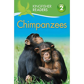 Kingfisher Readers Level 2: Chimpanzees