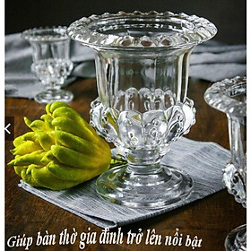 Mua LỌ THỦY TINH CẮM PHẬT THỦ SANG TRỌNG - LY THỦY TINH CẮM HOA TRANG TRÍ NHÀ ĐÓN TẾT