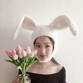 Cozy Rabbit Hat Ear Hat  Plush Hat Cap for Women Girls, Cosplay Christmas Party Holiday Costume Headdress
