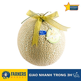 Dưa Lưới Fuji Giống Nhật Trái 1.7KG