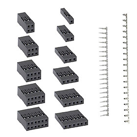 Set of 620 2.54mm 0.1" 3A Male Female  2/3/4/5/6 Header Connector New