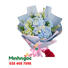 Mua Hoa Cẩm Tú Cầu – loài hoa kiêu sa và ngọt ngào – 209