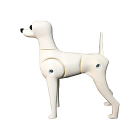 Fake  Model, Standing Position Dog Model, Professional Standard Pet  Model, Display Mannequin for Pet Groomer, Dog Mannequin