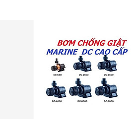 Bơm Marine DC pumd chống giật (Các mã) - Máy bơm chế lọc cao cấp