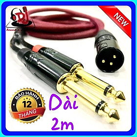 Dây Jack chia XLR đực ra 2 đầu Jack 6 ly thẳng dài 2m