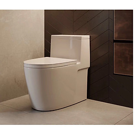 Mua BỒNCẦU LIỀN KHỐI R822