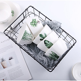 Bộ bát đĩa Sứ màu xanh Tropical