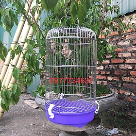 Lồng chim vành khuyên inox giá rẻ
