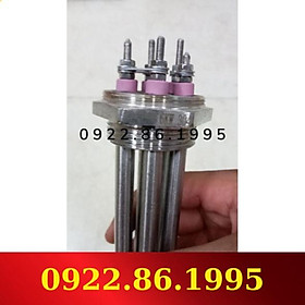 Maiso đun nước, nồi hơi , nồi nấu đậu ,điện trở, thanh nhiệt dạng cụm ren , củ ren .ren 48 inox304 25cm hàng nhập