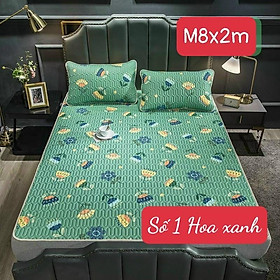 Mua Chiếu điều hoà - 1 chiếu kèm 2 vỏ gôi 1m6.2m