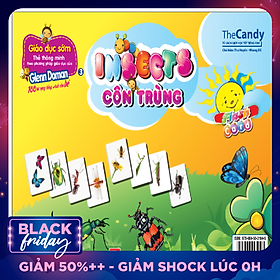 Flashcard Dạy Trẻ Theo Phương Pháp Glenn Doman - Côn Trùng