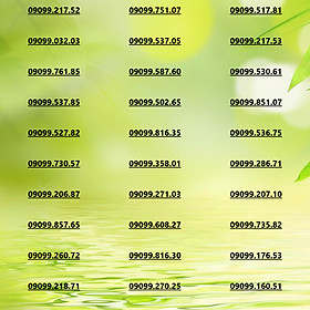 Sim đẹp Đầu Số cổ 09099, Phong Thủy Dễ Nhớ Làm Ăn Thuận Lợi Tặng Gói 6GB Data/Ngày Thoải Mái Nghe Gọi