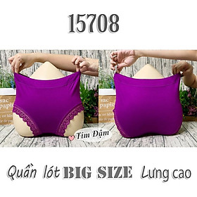 Hình ảnh 15708 Quần lót chip BIG SIZE lưng cao lai Ren