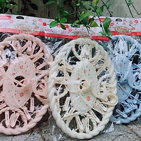 Mua Móc Chùm Nhựa Cao Cấp 24 Kẹp