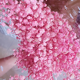 Mua Hoa khô baby bó lớn 120g