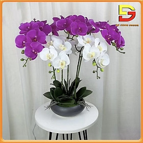 Mua Hoa Giả Chậu Lan Hồ Điệp 5 Nhánh Decor Trang Trí Phòng Khách Bàn Ăn Kệ Tủ DG-226