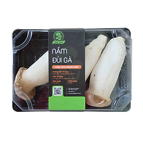Nấm Đùi Gà Tươi Ngon, Sạch, Giòn Ngọt, Bổ Sung Giàu Dinh Dưỡng Hộp 200Gr - Foodmap