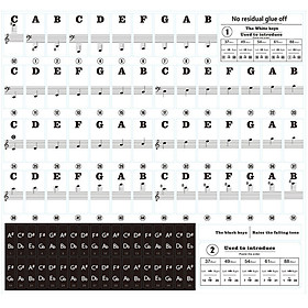 Miếng Dán Phím Piano Điện Trong Suốt (88 Phím)