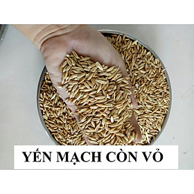 hạt yến mạch còn vỏ dùng làm thức ăn đầy đủ dinh dưỡng cho chim , vẹt